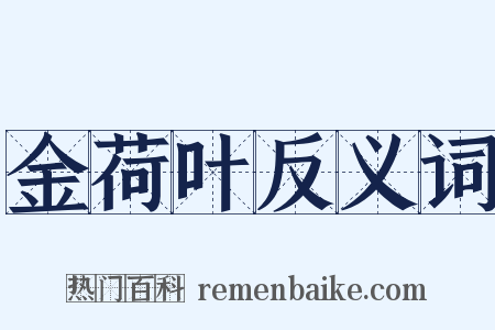 金荷叶反义词是什么意思的图片